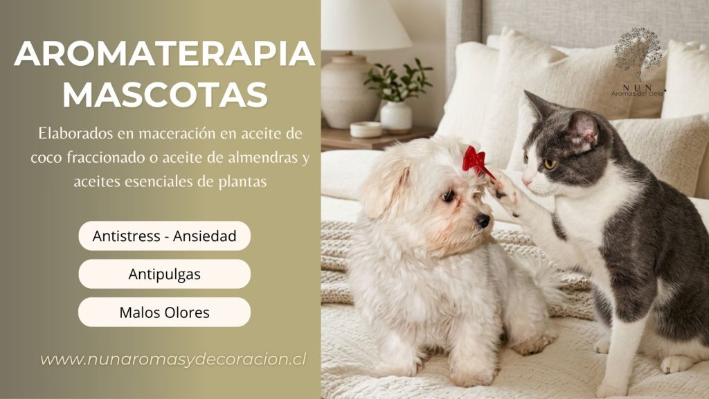 Mascotas 2