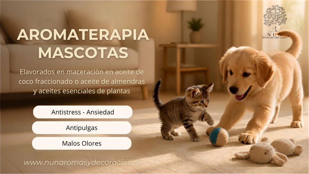 Mascotas 3